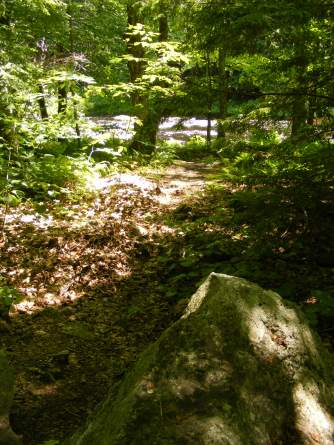 South Branch is visible through the woods, all along the trail.